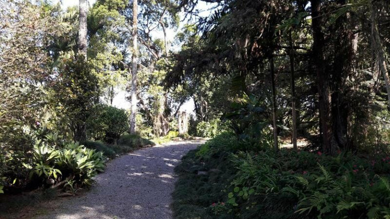 Imagem Terreno à Venda, 3.000 m² em América - Joinville