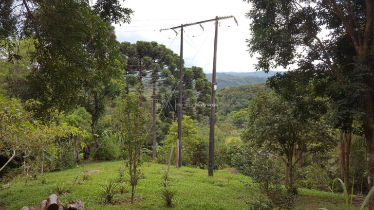 Imagem Fazenda à Venda, 193.600 m² em Centro - Campina Grande Do Sul