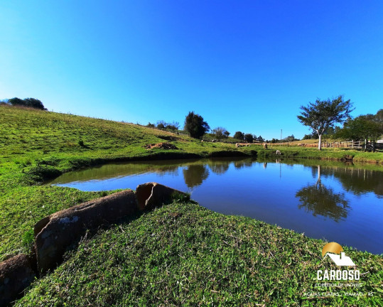 Imagem Imóvel com 1 Quarto à Venda,  em águas Claras - Viamão