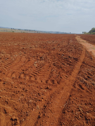 Imagem Fazenda à Venda, 106 m² em Zona Rural - Caiapônia