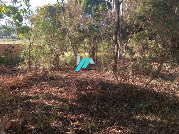 Imagem Fazenda à Venda, 2.300 m² em Cidade Jardim - Esmeraldas