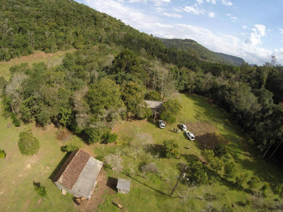 Imagem Imóvel à Venda, 223.400 m² em Linha Forqueta - Gramado