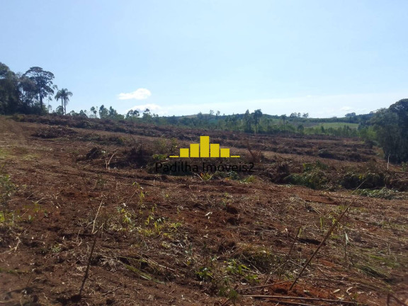 Imagem Chácara à Venda, 17 m² em Sarapui Cima - Piedade