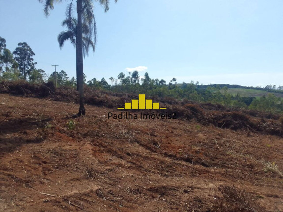 Imagem Chácara à Venda, 17 m² em Sarapui Cima - Piedade