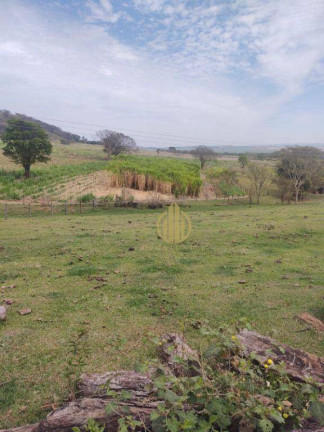 Imagem Fazenda à Venda, 157.300 m² em Sao Simao - São Simão