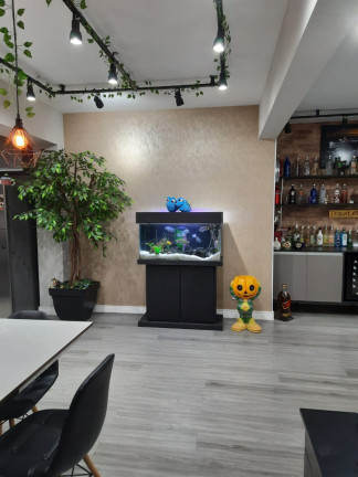 Imagem Apartamento com 3 Quartos à Venda, 124 m² em Aclimação - São Paulo