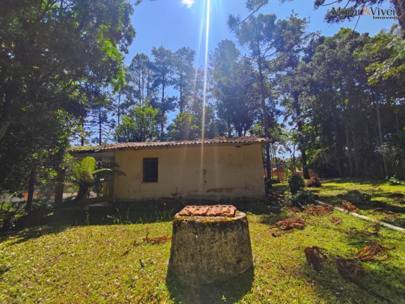 Imagem Chácara à Venda, 6.000 m² em Loteamento Chácara Chantecler - Piraquara