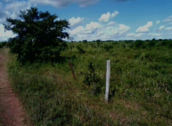 Imagem Imóvel à Venda,  em Colinas Do Tocantins - Colinas Do Tocantins
