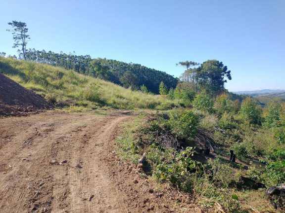 Imagem Chácara à Venda, 1.000 m² em Pocinhos Do Rio Verde - Caldas