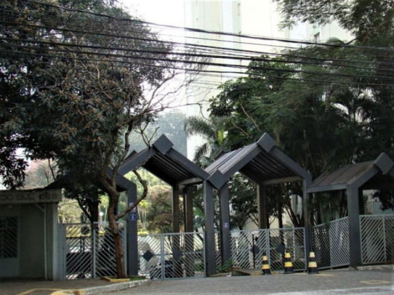 Imagem Apartamento com 3 Quartos à Venda, 63 m² em Jardim Taquaral - São Paulo