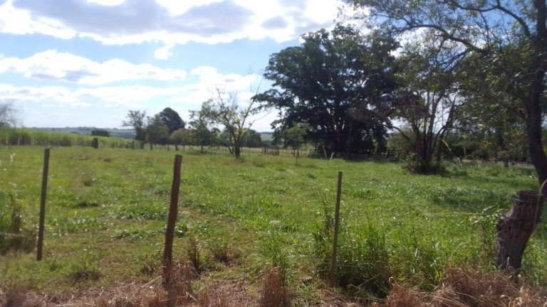 Imagem Fazenda à Venda, 43 m² em Centro - Araçatuba