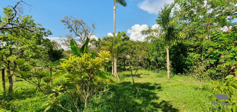 Imagem Imóvel com 3 Quartos à Venda,  em Cidade Jardim - Esmeraldas