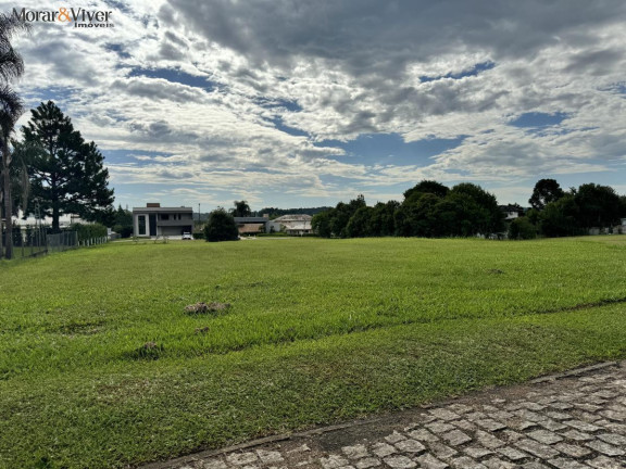 Imagem Terreno à Venda, 2.500 m² em Campo Largo Da Roseira - São José Dos Pinhais