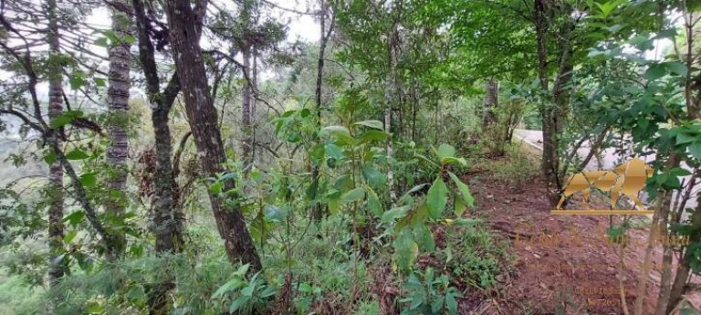 Imagem Terreno à Venda, 5.170 m² em Descansópolis - Campos Do Jordão