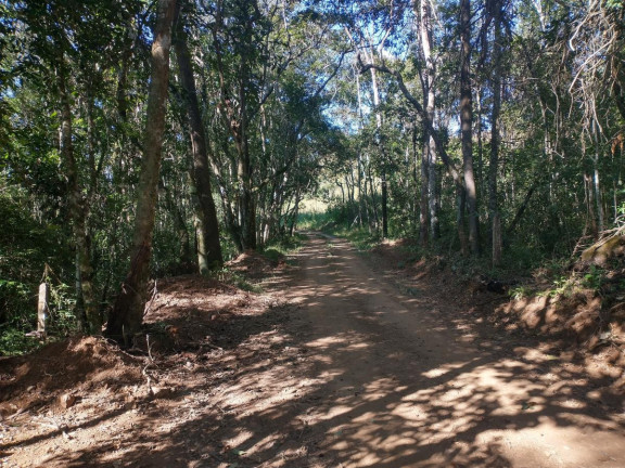 Imagem Chácara à Venda, 1.000 m² em Pocinhos Do Rio Verde - Caldas