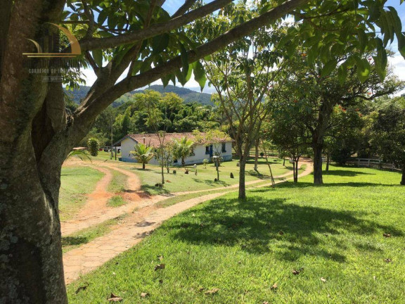 Imagem Fazenda à Venda, 968.000 m² em São Luis - Jacutinga