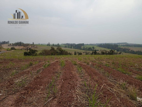 Imagem Fazenda à Venda, 968.000 m² em Zona Rural - Mombuca