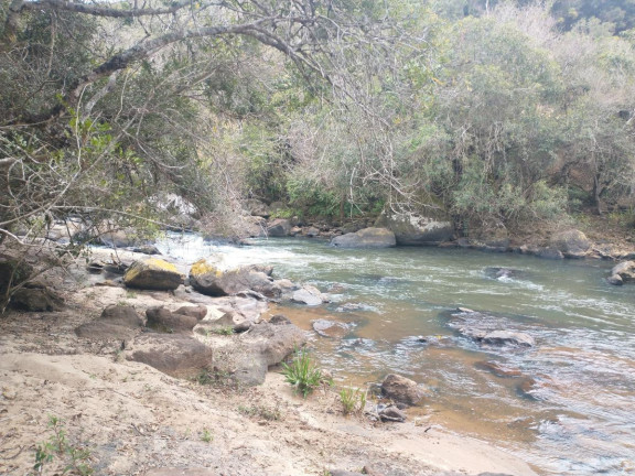 Imagem Chácara à Venda, 20.000 m² em Rio Pardo - Caldas