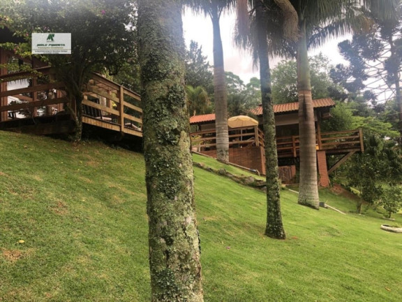 Imagem Fazenda à Venda, 25.000 m² em São Roque