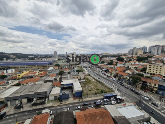 Imagem Apartamento com 2 Quartos para Alugar, 39 m² em Vila Sônia - São Paulo