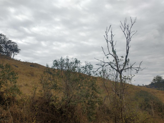 Imagem Chácara à Venda, 20.000 m² em Rio Pardo - Caldas