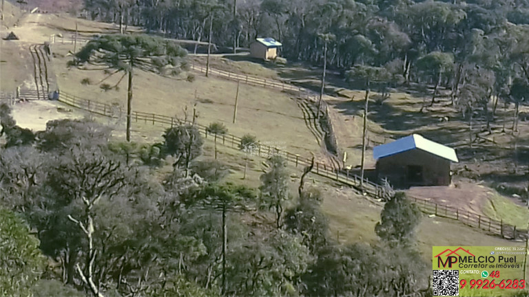 Imagem Imóvel com 3 Quartos à Venda,  em Centro - Rancho Queimado