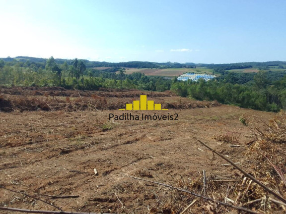 Imagem Chácara à Venda, 17 m² em Sarapui Cima - Piedade