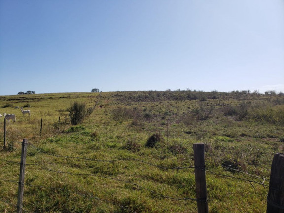 Imagem Imóvel à Venda, 66 m² em área Rural De Reginópolis - Reginópolis