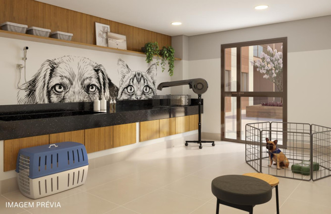 Imagem Apartamento com 3 Quartos à Venda, 69 m² em Santo Cristo - Rio De Janeiro