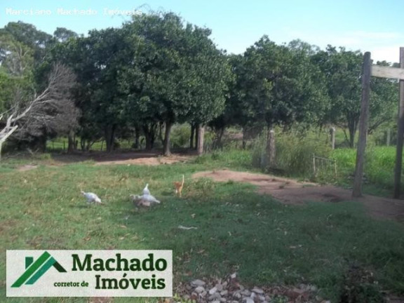 Imagem Imóvel à Venda, 20 m² em Rural - São Sepé