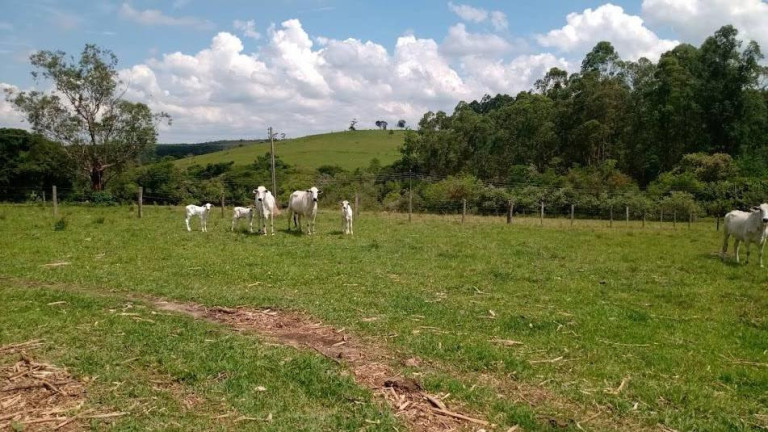 Imagem Chácara com 2 Quartos à Venda, 166 m² em Bairro Varginha - Itapetininga