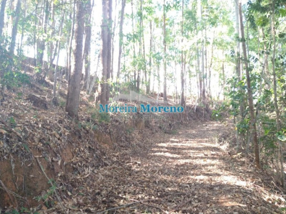 Imagem Imóvel à Venda, 9.000 m² em Zona Rural - Borda Da Mata