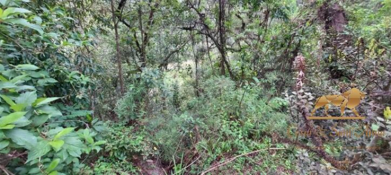 Imagem Terreno à Venda, 5.170 m² em Descansópolis - Campos Do Jordão