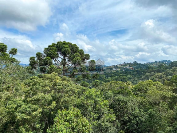 Imagem Apartamento com 2 Quartos à Venda, 84 m² em Morro Do Elefante - Campos Do Jordão