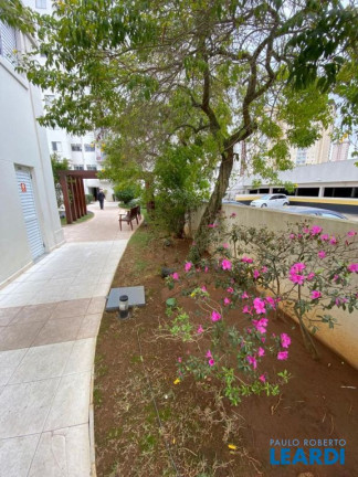 Imagem Apartamento com 3 Quartos à Venda, 62 m² em Vila Alzira - Santo André
