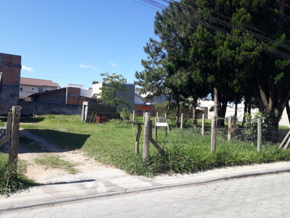 Imagem Terreno à Venda,  em São João Do Rio Vermelho - Florianópolis