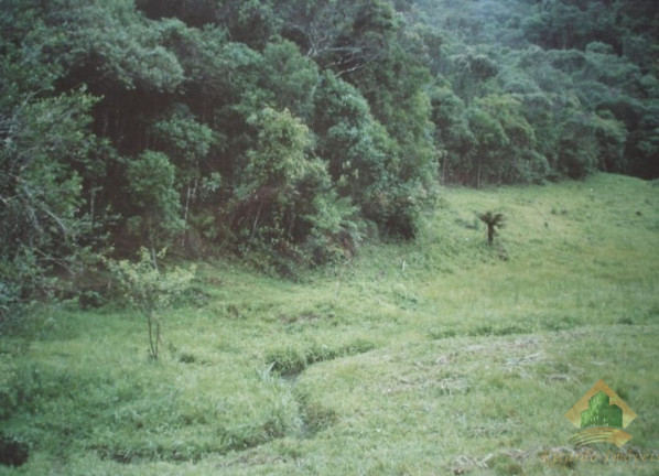 Imagem Terreno à Venda, 4.695 m² em Campos De Cunha - Cunha