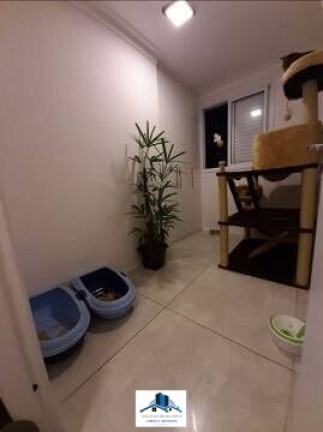 Imagem Apartamento com 2 Quartos à Venda, 55 m² em Vila Matilde - São Paulo