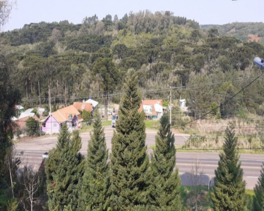 Imagem Imóvel com 4 Quartos à Venda,  em Linha Imperial - Nova Petrópolis