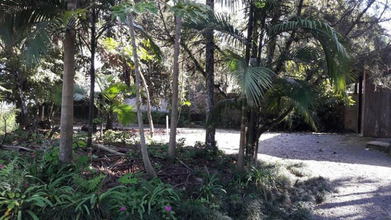 Imagem Terreno à Venda, 3.000 m² em América - Joinville