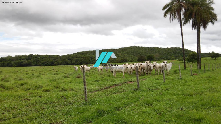 Imagem Fazenda à Venda, 1.435 m² em Zona Rural - Unaí