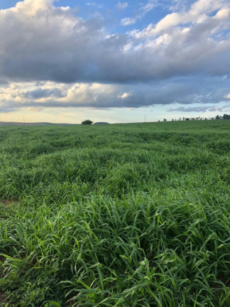 Imagem Imóvel à Venda, 2.042 m² em área Rural De Marília - Marília