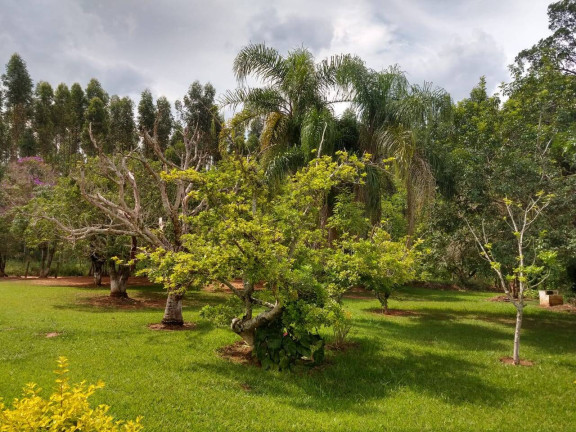 Imagem Chácara com 2 Quartos à Venda, 10 m² em Cerrado - Alambari