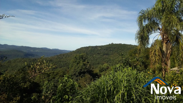 Imagem Imóvel à Venda, 300 m² em Vila Olinda - Nova Petrópolis