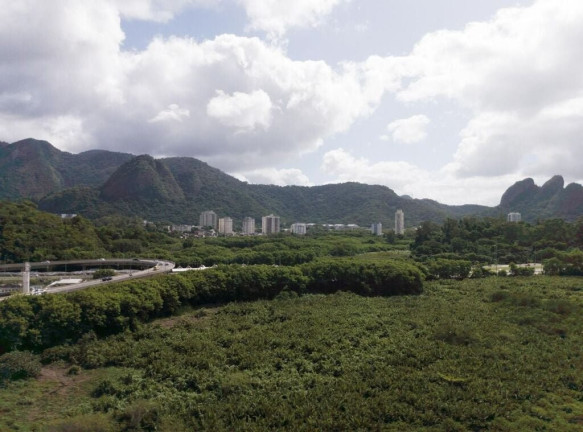 Imagem Apartamento com 3 Quartos à Venda, 95 m² em Barra Da Tijuca - Rio De Janeiro