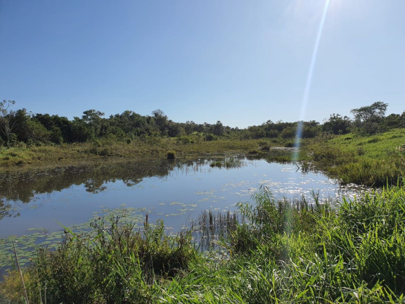 Imagem Fazenda à Venda, 14.530.000 m² em Zona Rural - Navirai