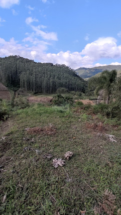 Imagem Imóvel com 3 Quartos à Venda,  em Valçugana - Nova Trento