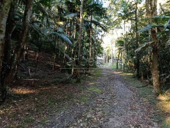 Imagem Fazenda à Venda, 22.800 m² em Vitalinos - Juquitiba