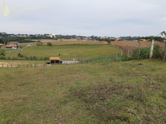 Imagem Imóvel à Venda, 10.000 m² em Centro - Campo Magro