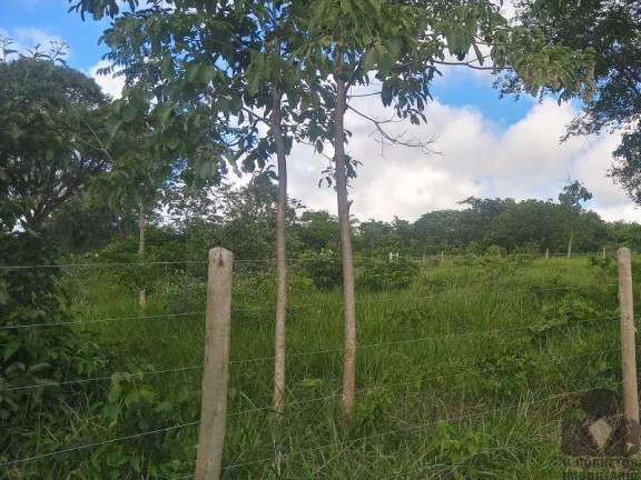 Imagem Imóvel à Venda, 20.000 m² em Condomínio Rural Recanto Das Quintas - Matozinhos